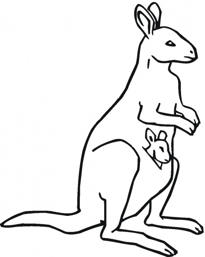 Baby Kangaroo Coloring Pages | Clipart Panda - Free Clipart Images
