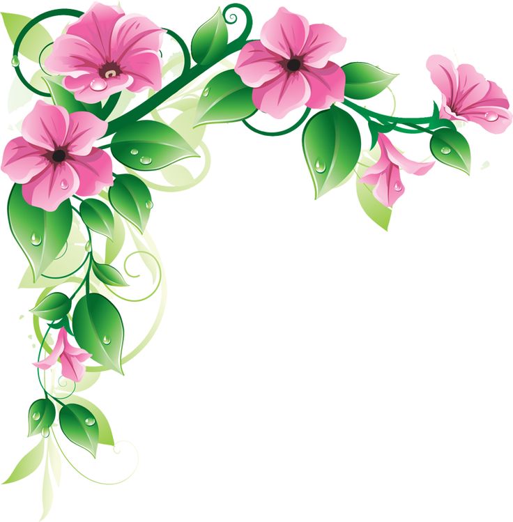 Hawaiian Clip Art Borders | Latest green Leaf and Pink flowers ...