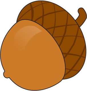 Acorn Clipart