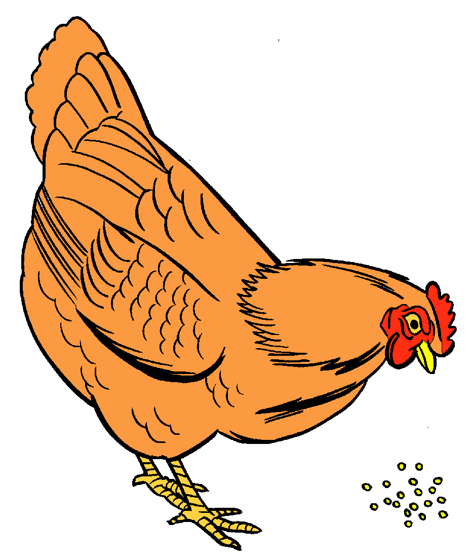 free clipart chicken and eggs - photo #44