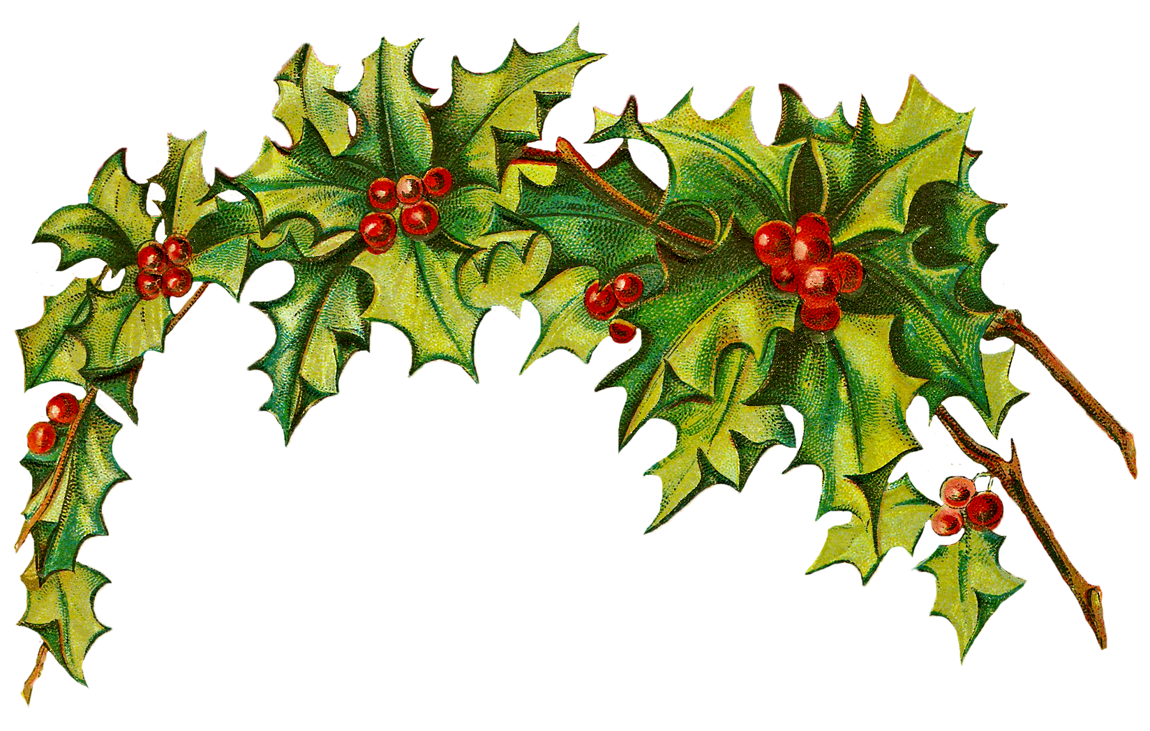 Christmas Clip Art Holly | School Clipart