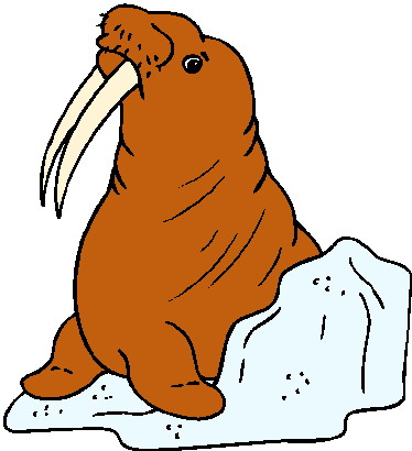 Animal graphics walrus 864763 - Animal Image