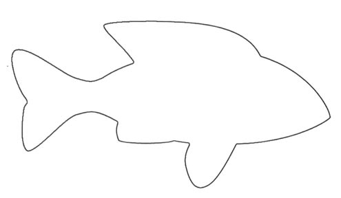 Simple Outline Of Fish - ClipArt Best