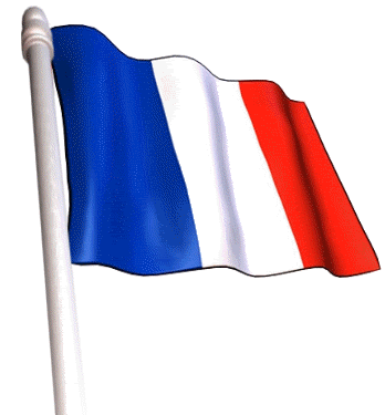 france flag graphics and comments