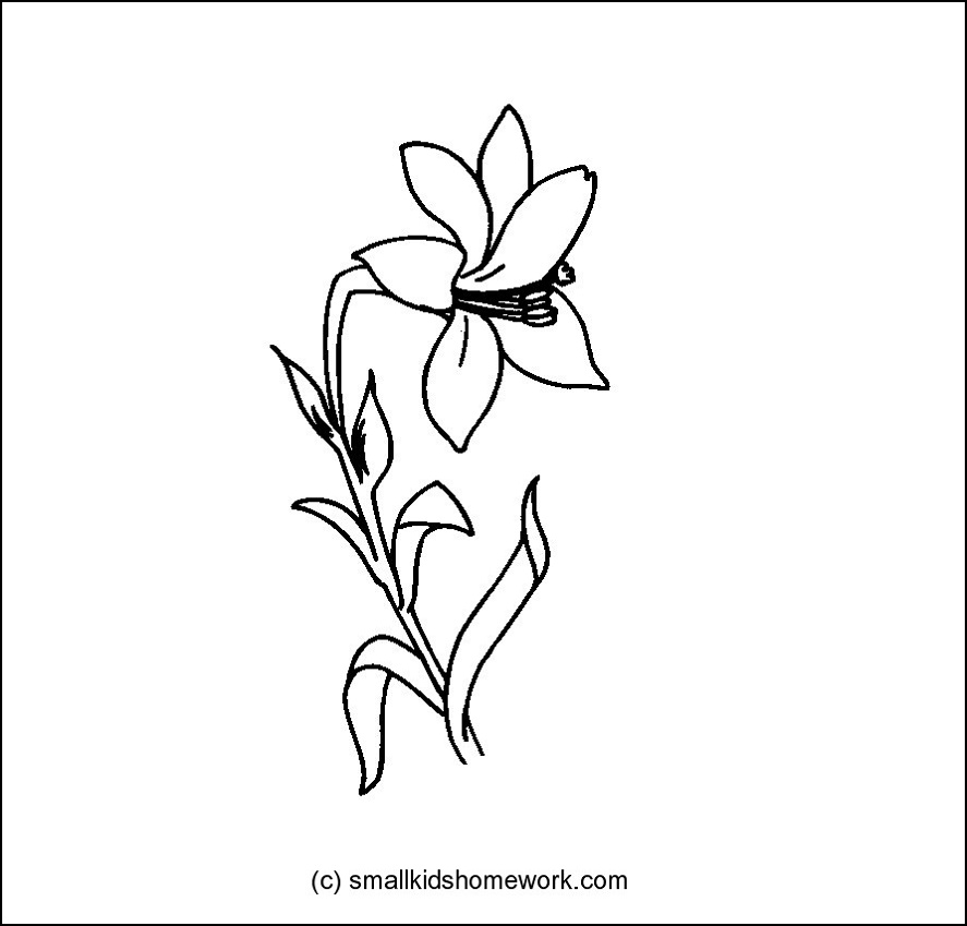 flowers outline Colouring Pages (page 3)