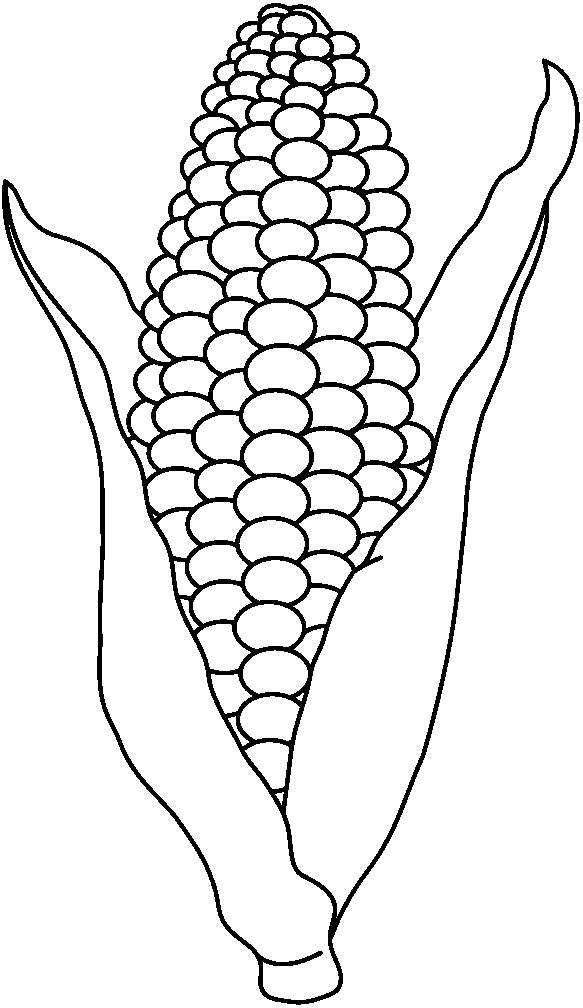free clipart ear of corn - photo #31