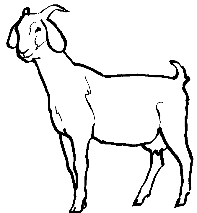 clipart baby goats - photo #42