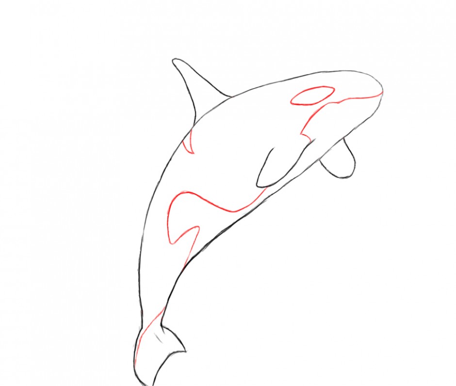 Orca Drawings ClipArt Best 159696 Orca Whale Coloring Pages