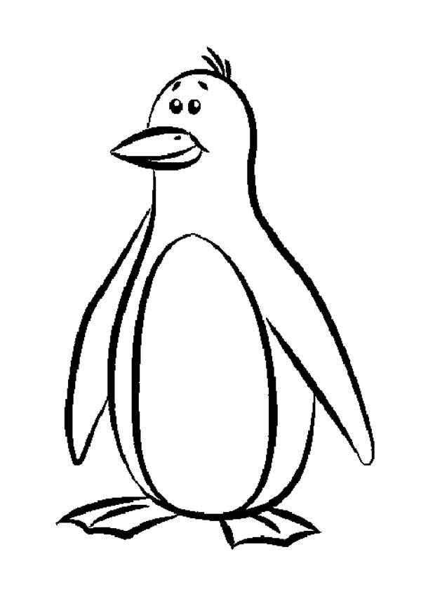 Winter Penguin Coloring Pages