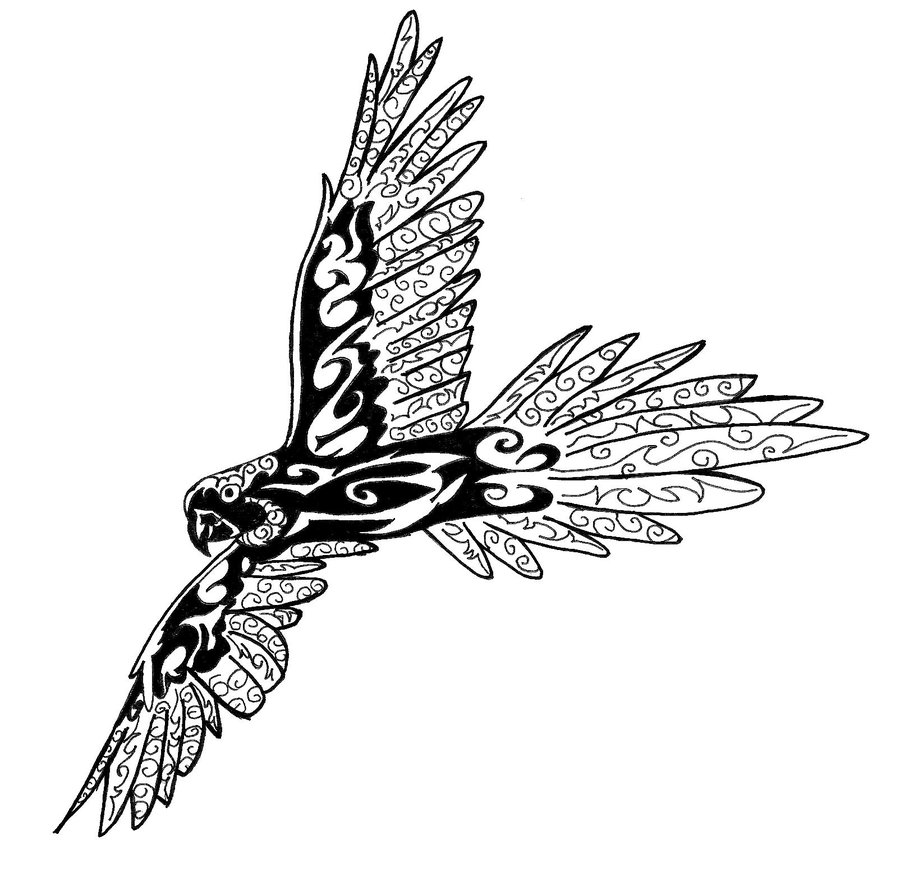 Flying Parrot Drawing