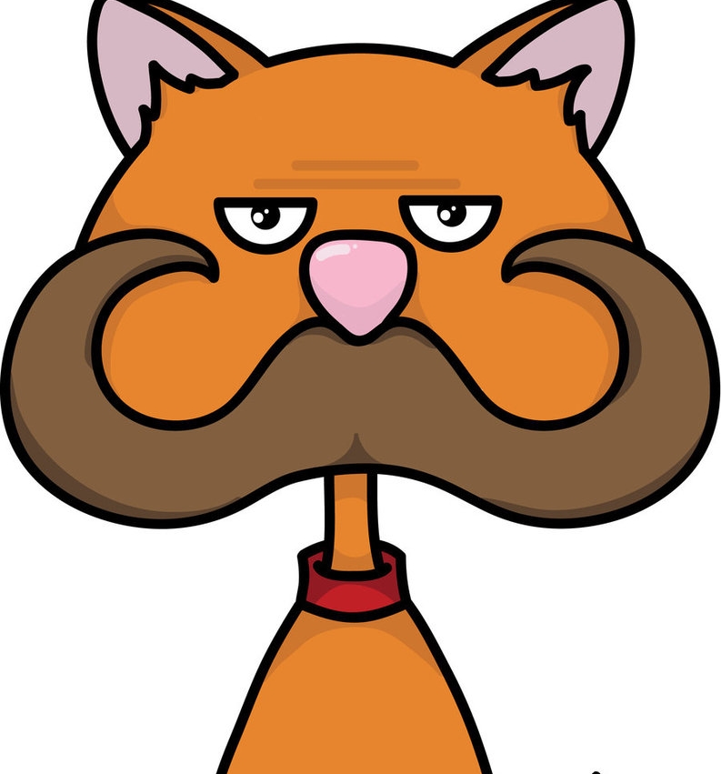 moustache cat angry picture, moustache cat angry wallpaper