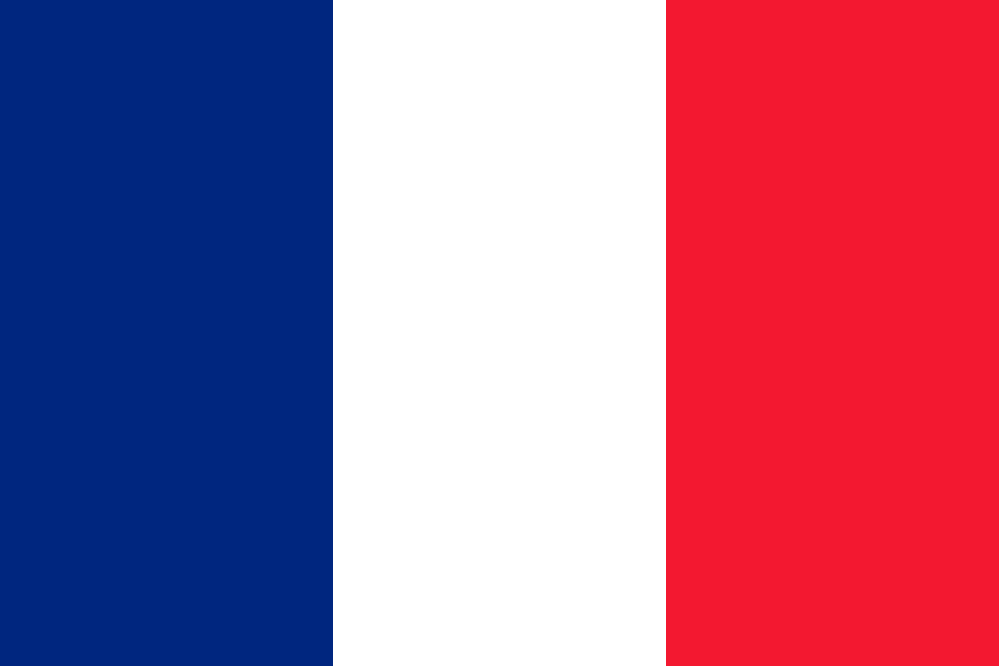 Flag France scallywag Flag SVG Flagartist.