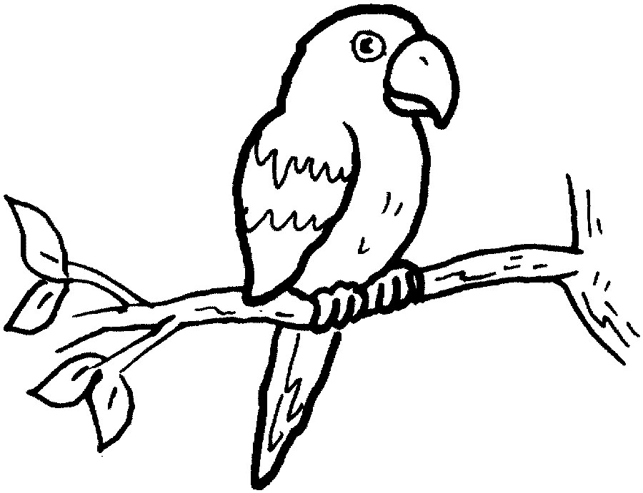 Free Parrot Clipart