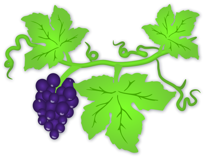 Grape Leaf.png