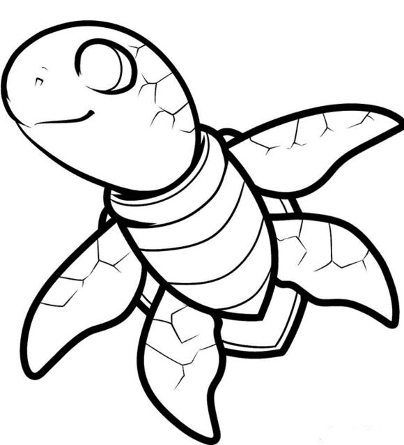 Baby Sea Turtle Coloring Page - Animal Coloring pages of ...