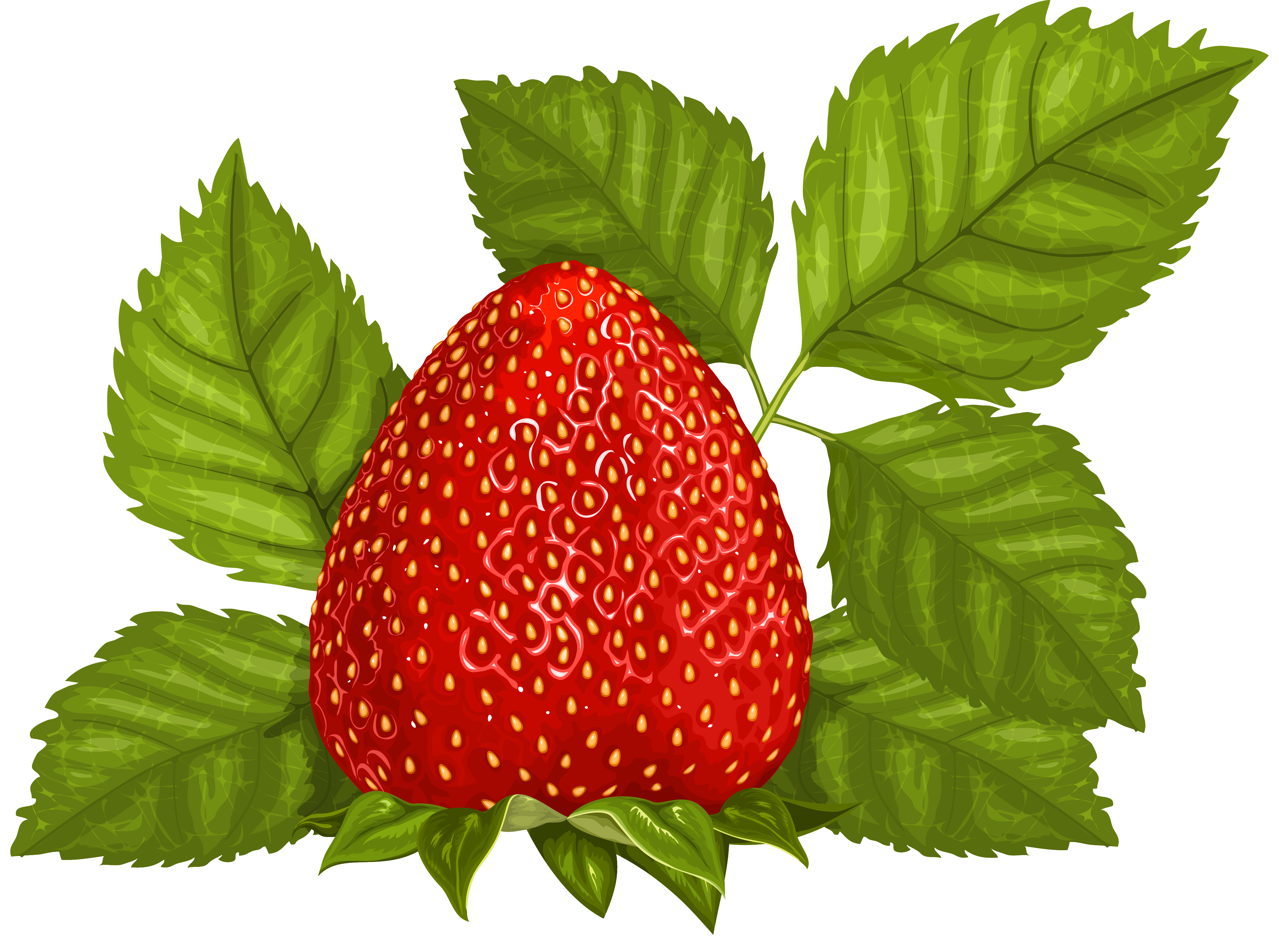 Strawberry with Leaves PNG Clipart Picture