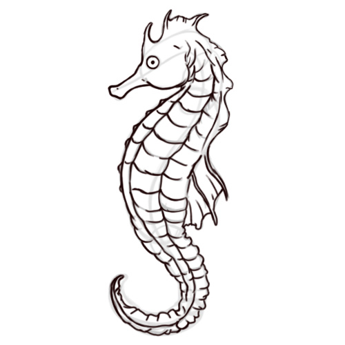 How to Draw a Seahorse: 6 Steps (with Pictures) - wikiHow