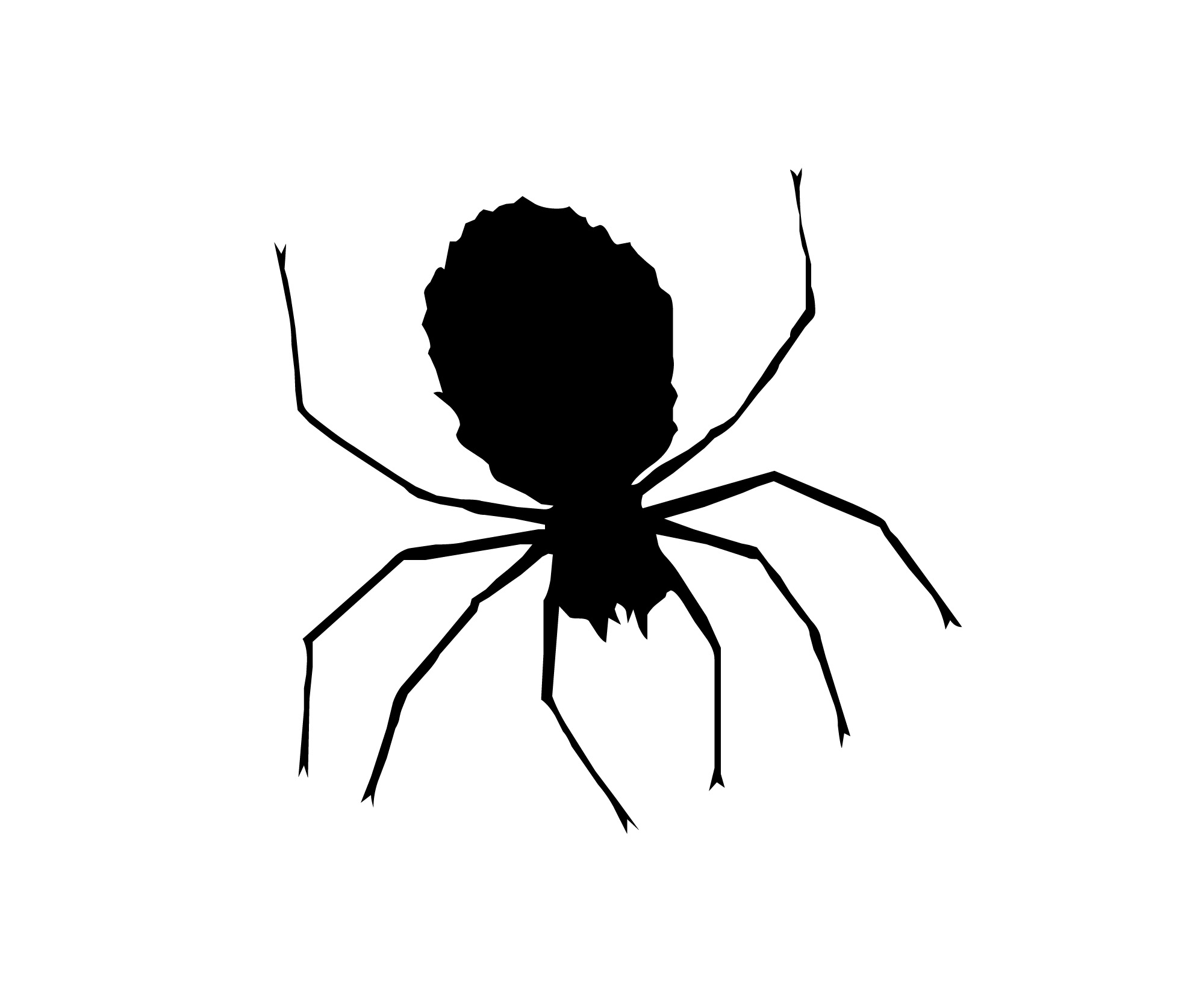 Spider Web Clip Art Black And | Clipart Panda - Free Clipart Images