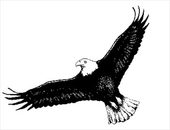 Free eagle-2 Clipart - Free Clipart Graphics, Images and Photos ...