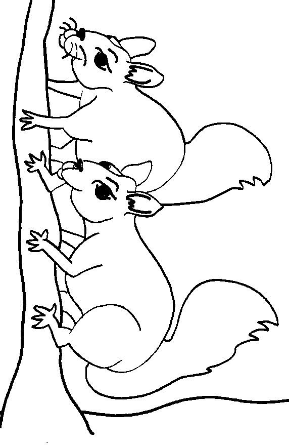cartoon squirrel Colouring Pages (page 2)