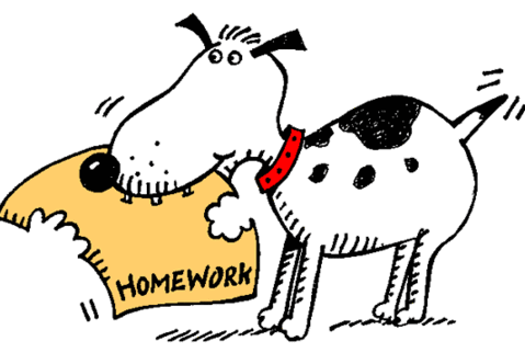 Homework - 6th grade