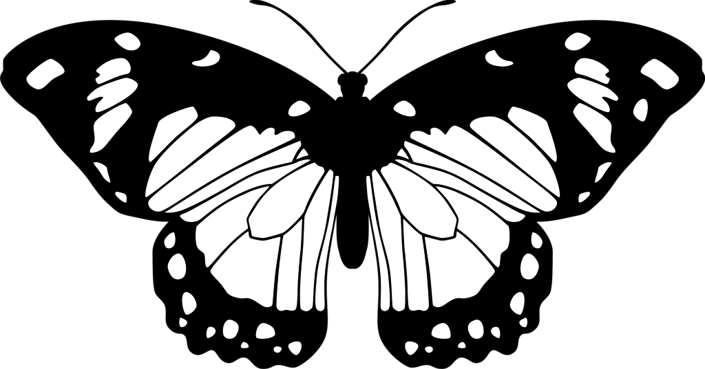 Black And White Drawings Of Butterflies