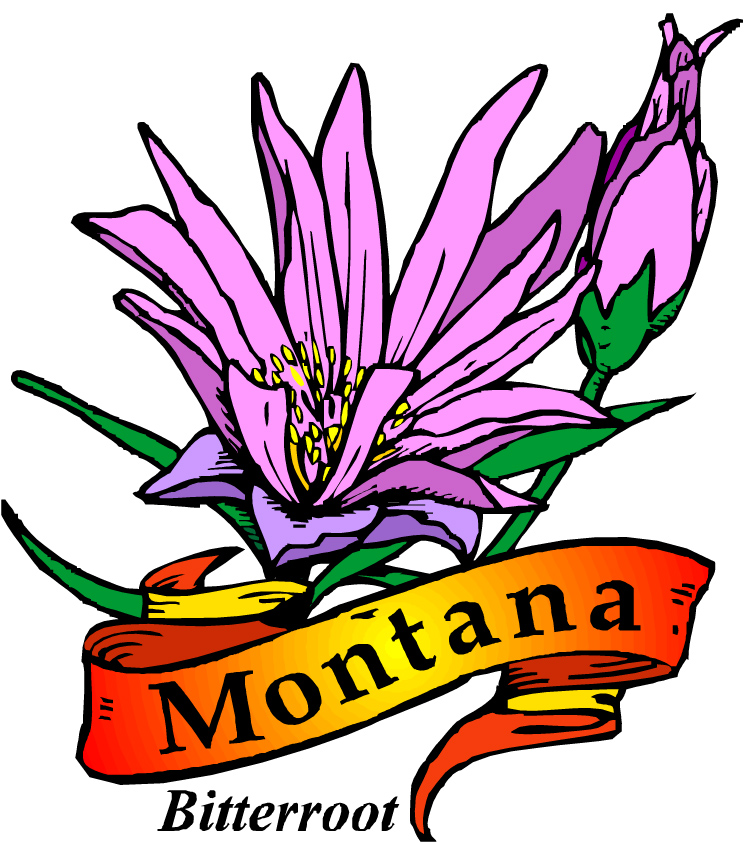 Mystery Books that Take Place in Montana – The Cozy Mystery List Blog