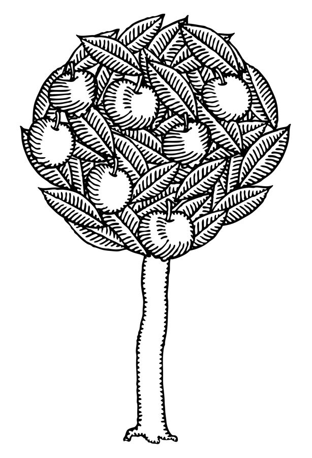 Black And White Apple Tree Drawing Images & Pictures - Becuo