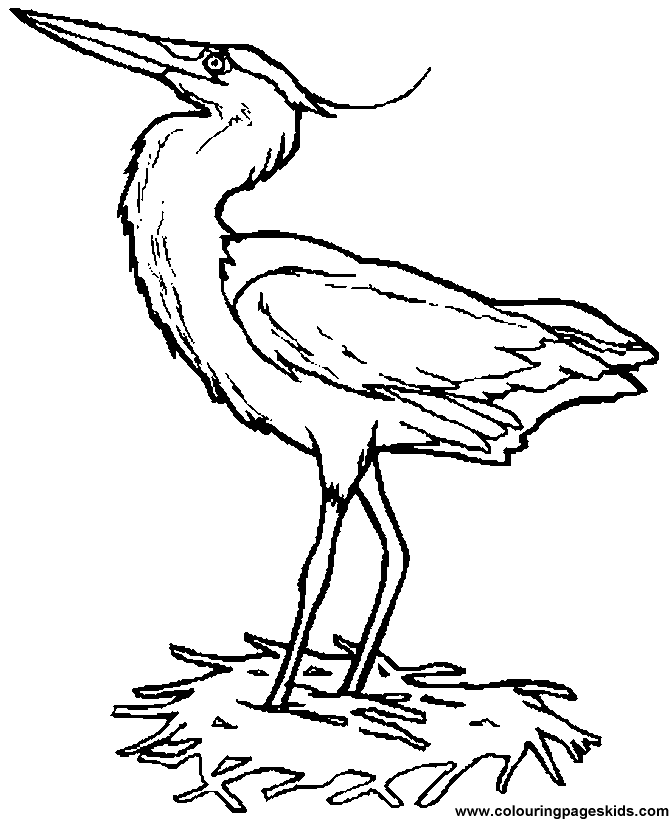 Free printable Animal coloring book pages - Heron for kids to ...