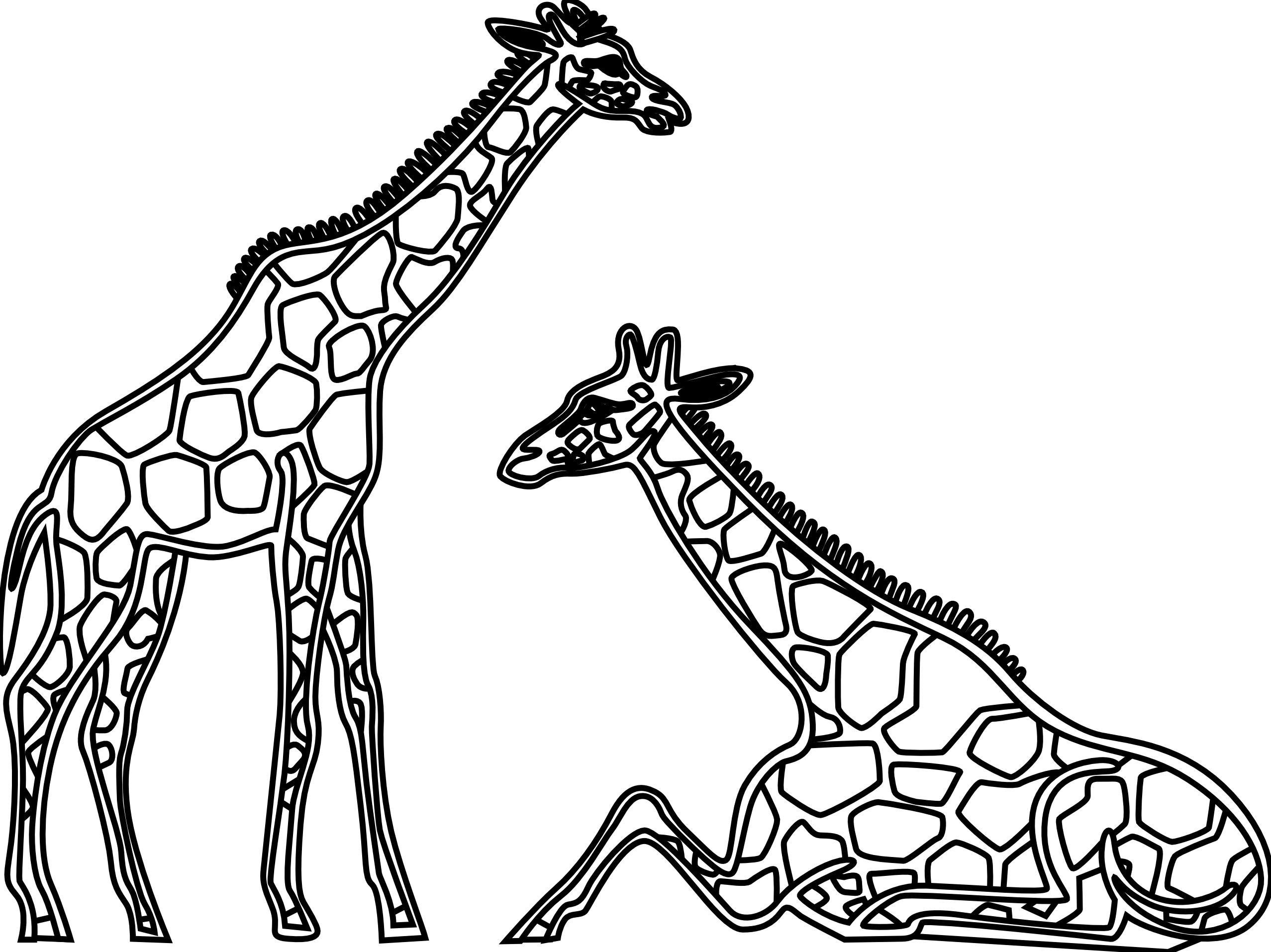 Clip Art: Giraffes 2981 Black White Line Art ... - ClipArt Best ...