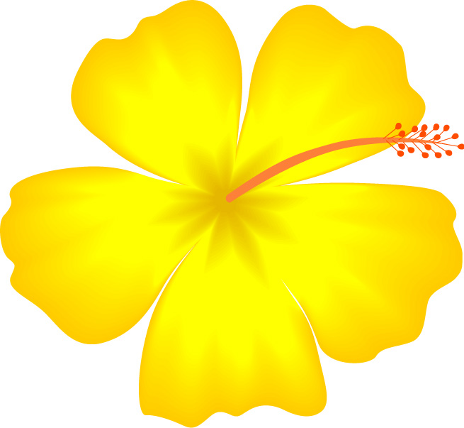 Yellow Hibiscus Hawaii State Flower image - vector clip art online ...