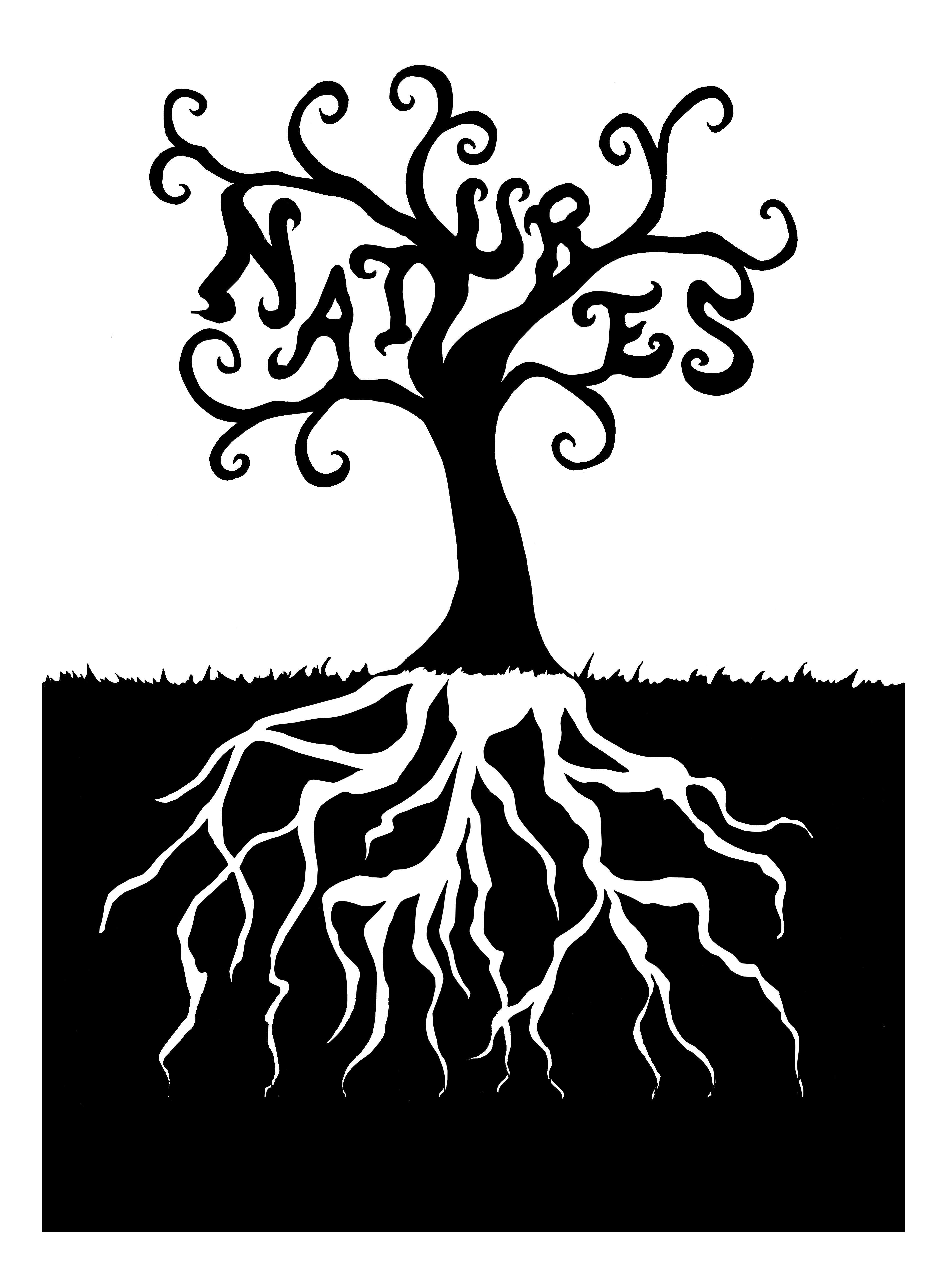 Drawings Of Trees With Roots - ClipArt Best