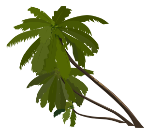 Animated Palm Tree Gif - Cliparts.co