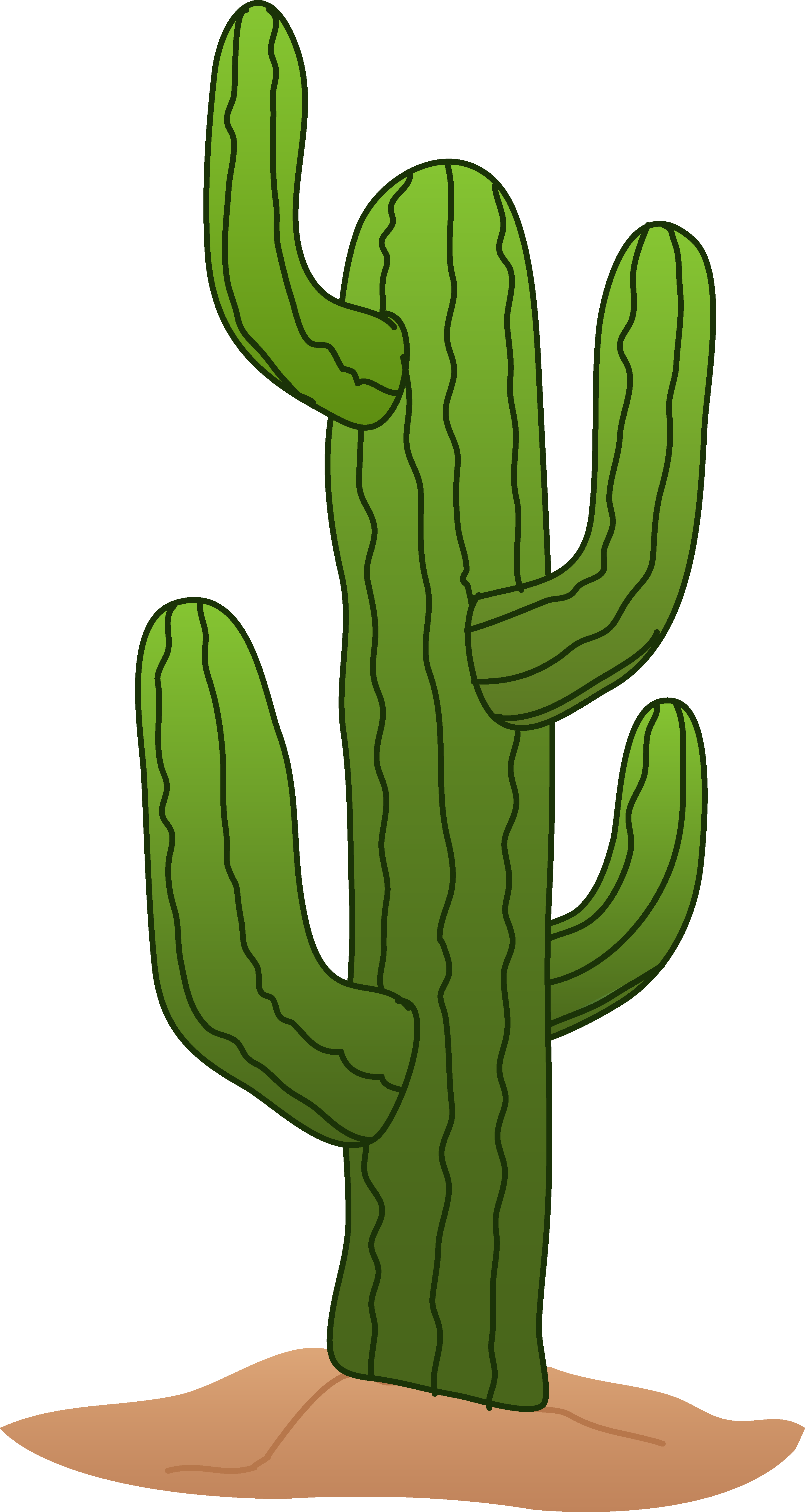 cactus drawing