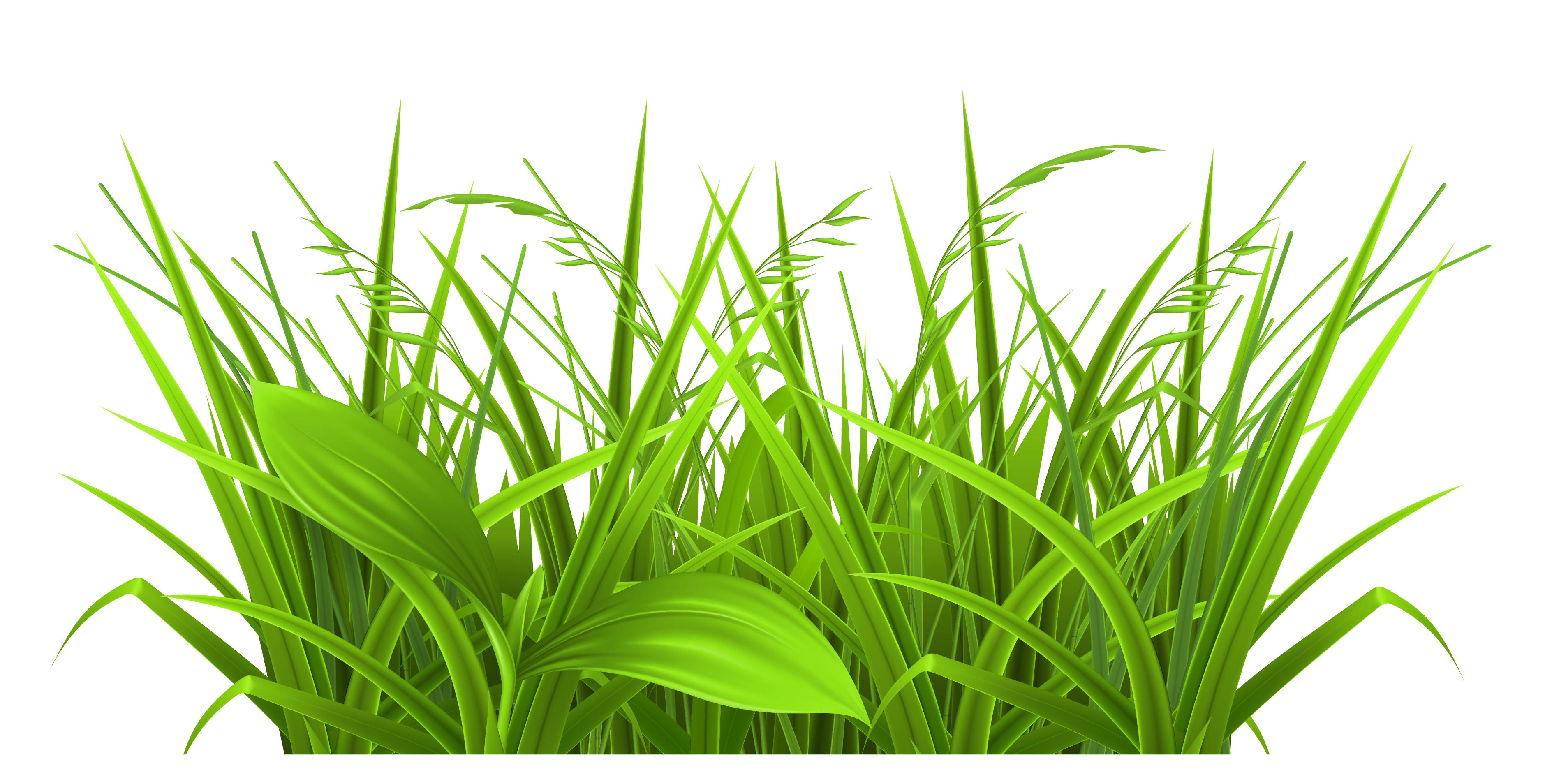 free clipart grass and flowers - photo #44