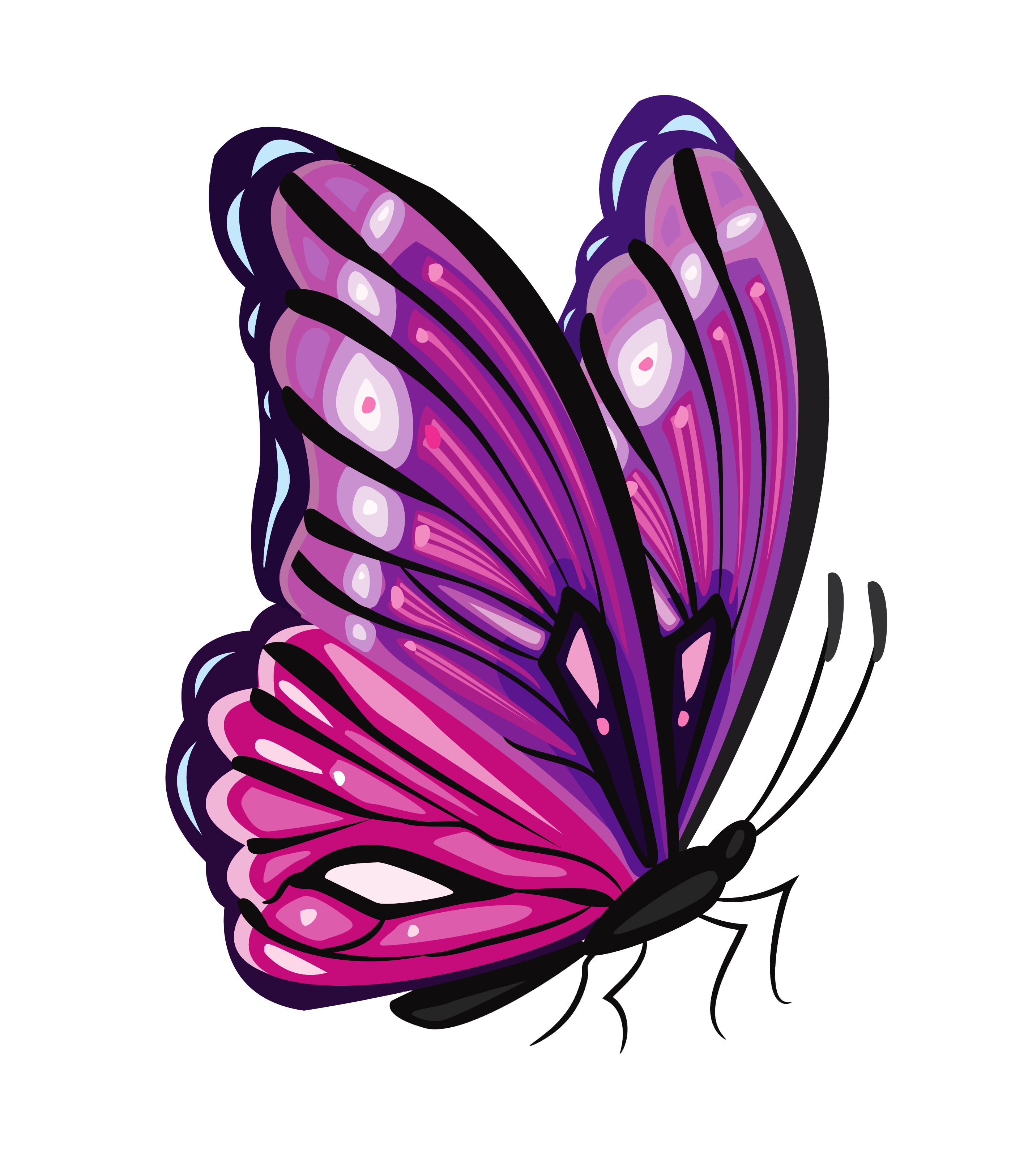 Purple Butterfly PNG Clipart Picture