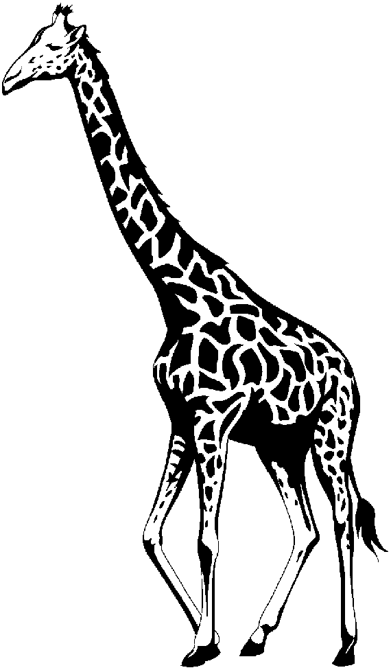 Black And White Animal Drawings - Cliparts.co