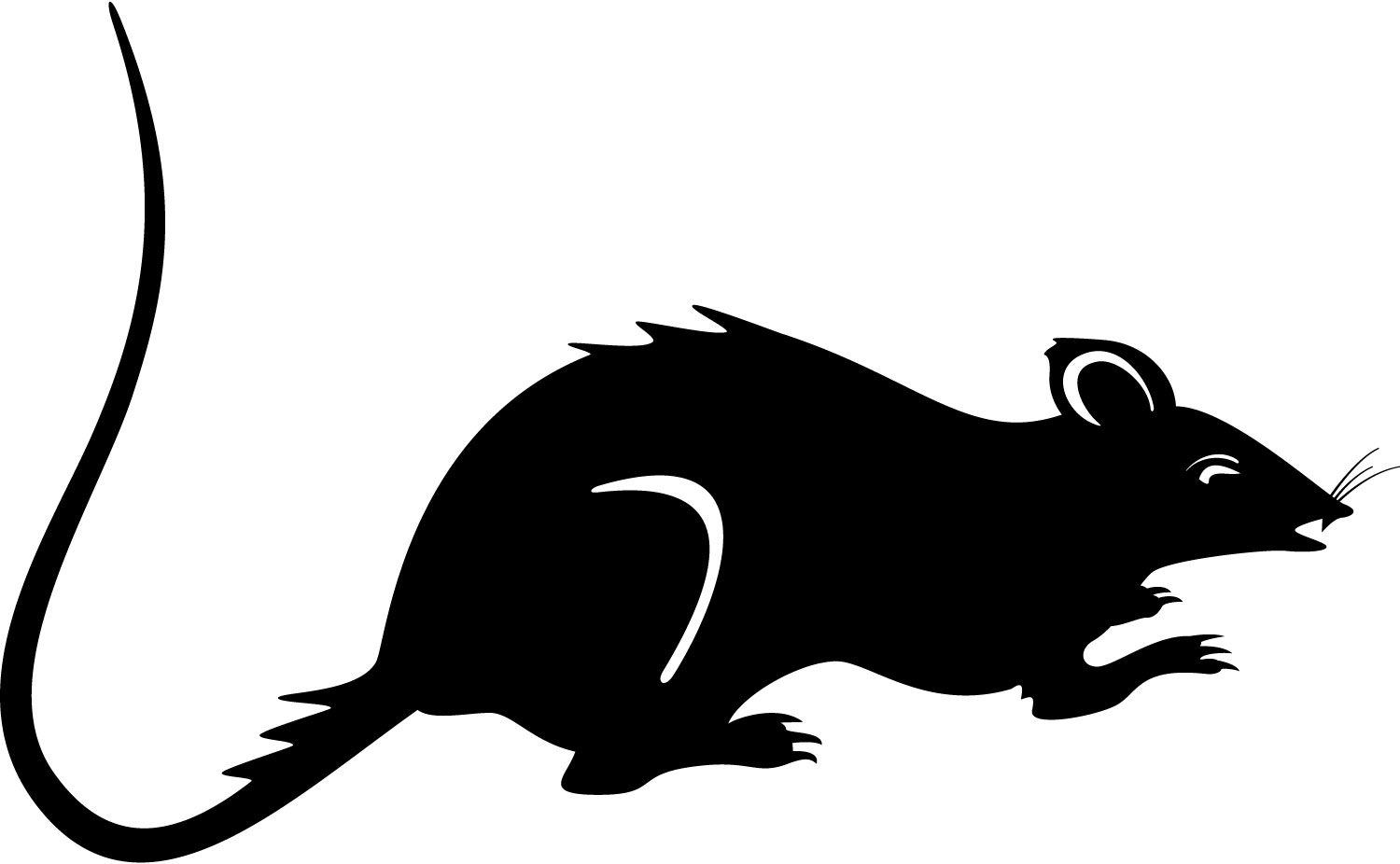 pack rat clipart - photo #45