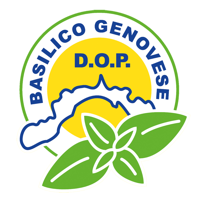 DOP Genoese Basil: the excellent cultivation of Liguria | Italian ...