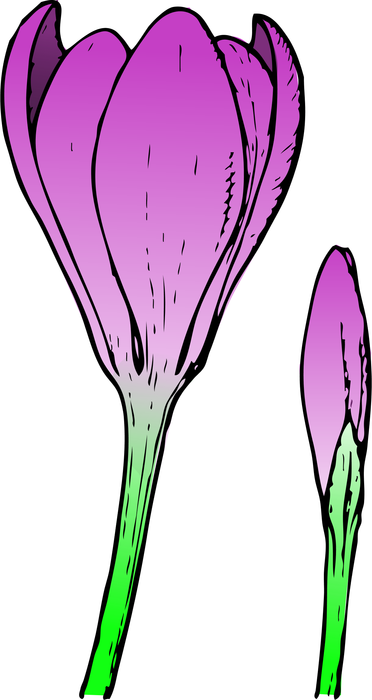 Spring Flower Clip Art - ClipArt Best