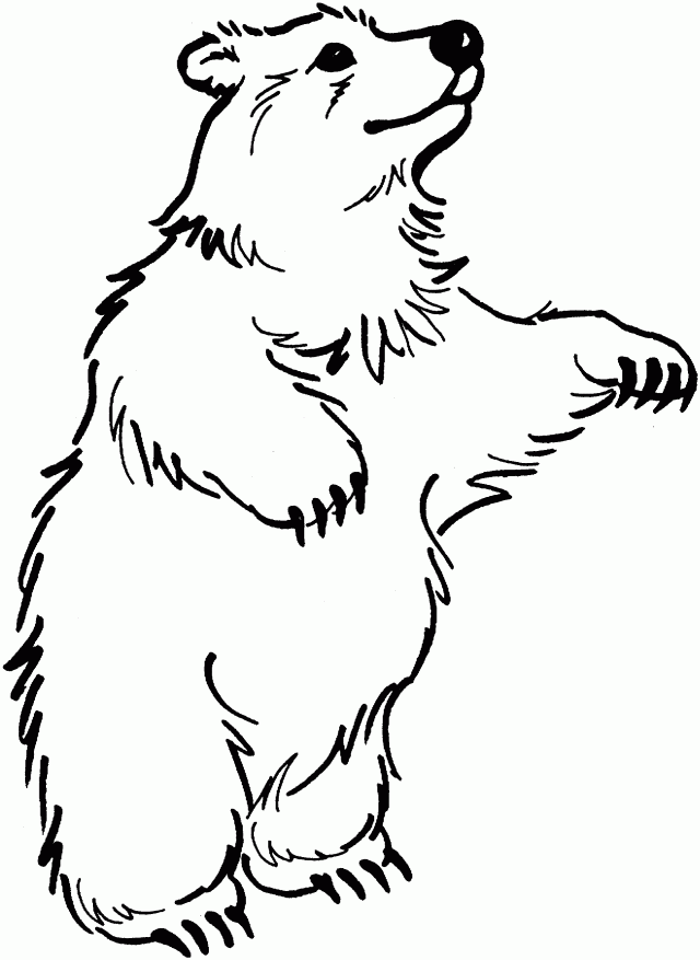 Viewing Gallery For Black Bear Coloring Page 149037 Polar Bear ...