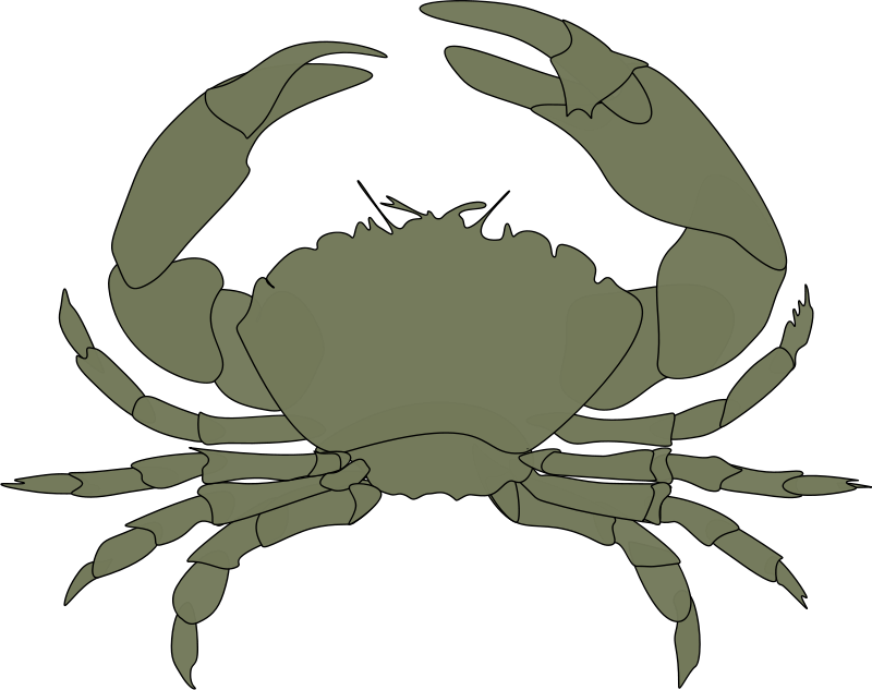 Crab Royalty FREE Food Clipart Images | Food Clipart Org
