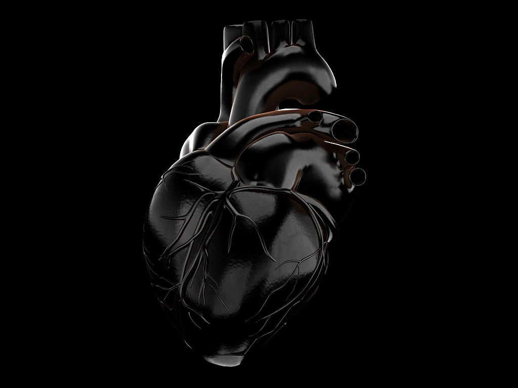 Human heart std mat - fabelar 3D workshop
