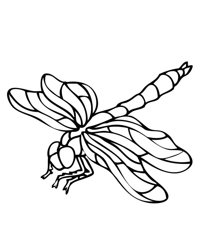 Download Printable Dragonfly Coloring Pages Of Animals Or Print ...