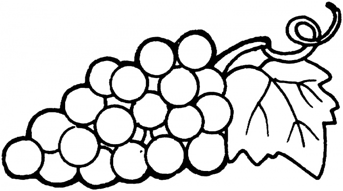 Pictures Outline Of Grapes - ClipArt Best