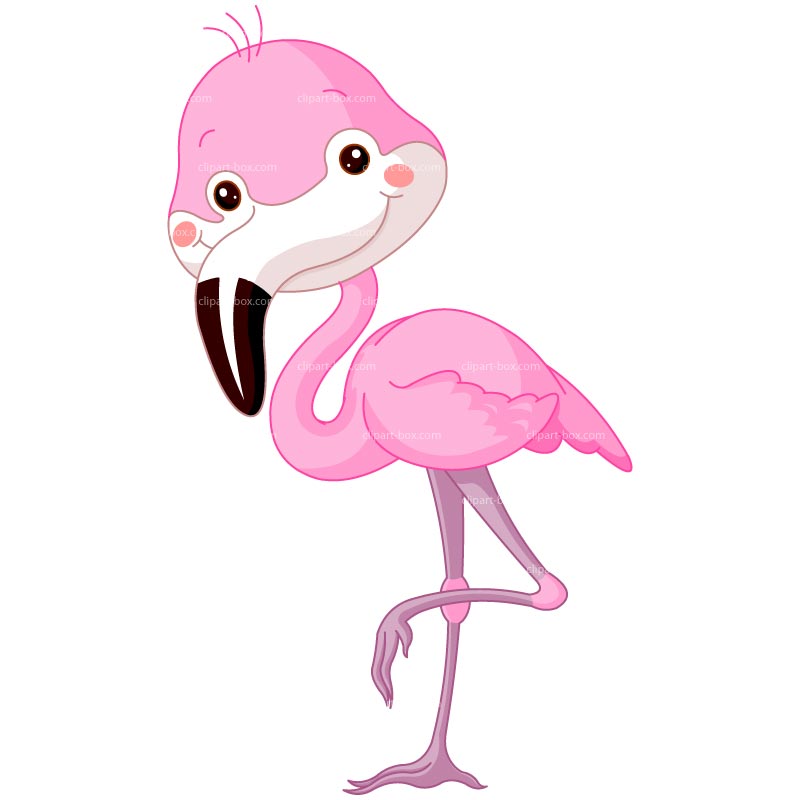 Pink 20clipart