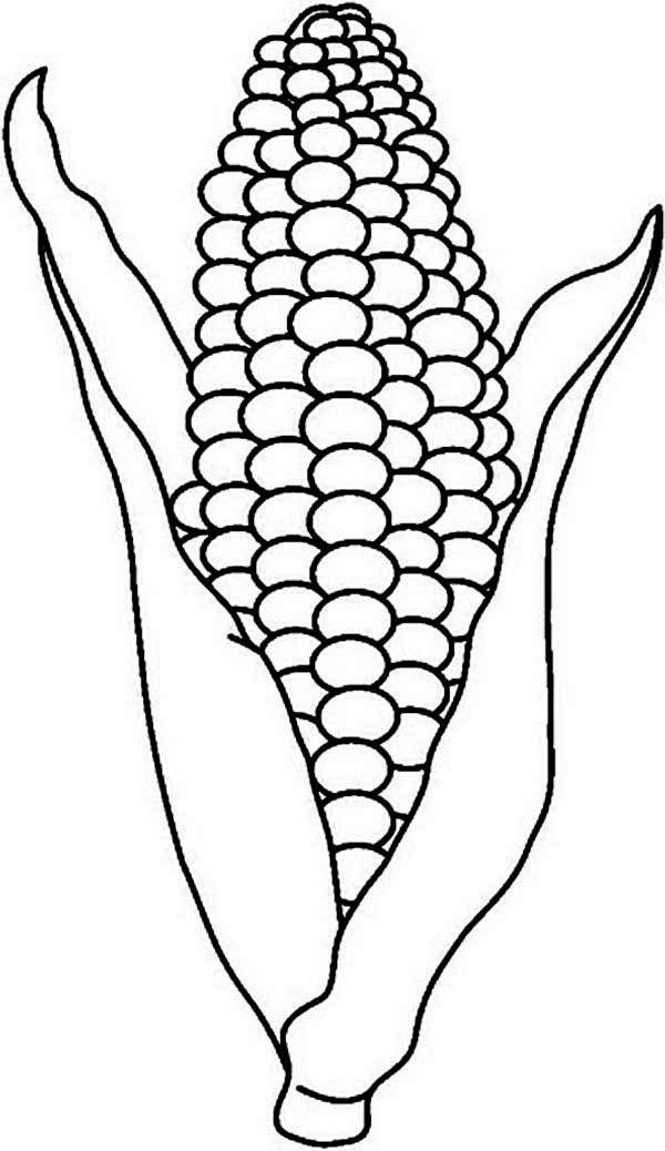 Roasting Corn Cob Coloring Page | Coloring Sun