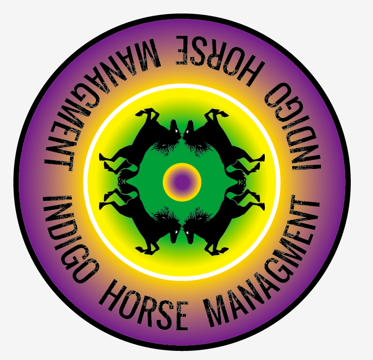 Projects | Wild Horse Project