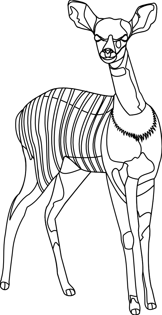 Animal Line Art - Cliparts.co