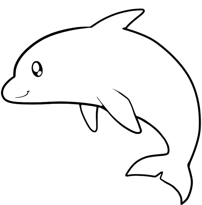 Cute Dolphin Drawing - Gallery